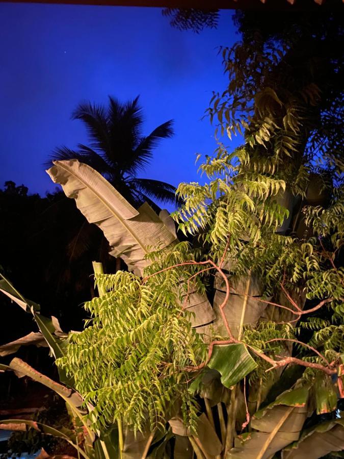 Hotel Tinaya Dambulla Eksteriør billede